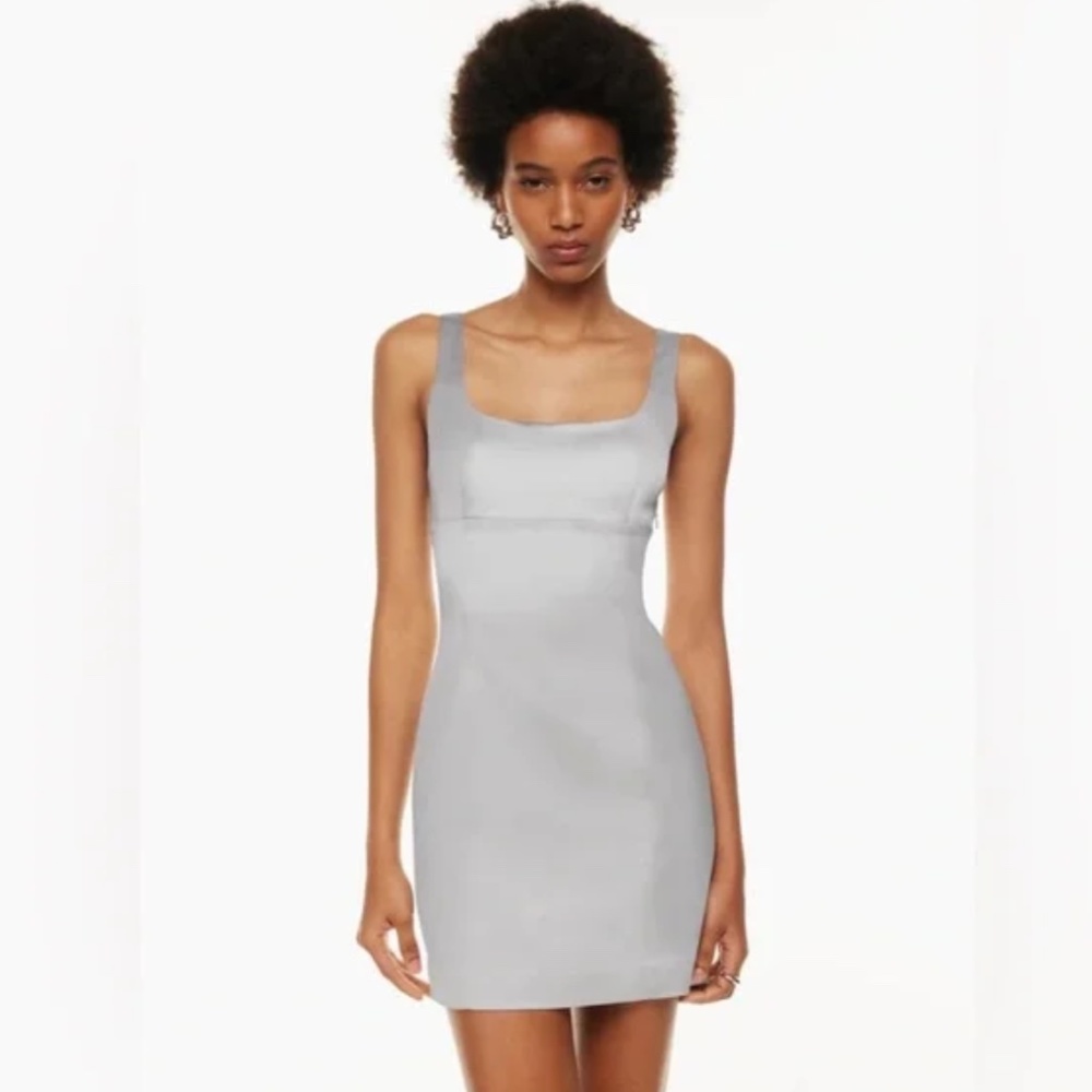 NWT Aritzia Wilfred Shine Dress